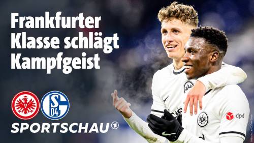 Eintracht Frankfurt – FC Schalke 04 Highlights