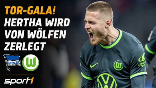 Hertha BSC – VfL Wolfsburg Highlights 17. Spieltag