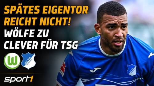 VfL Wolfsburg – TSG Hoffenheim Highlights 32. Spieltag